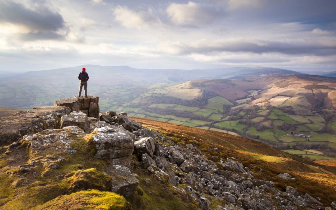 The Power of Mistletoe to Ease Your Cancer Symptoms