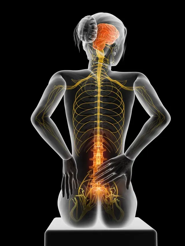 Lower Back Pain: The Osteopathic Regenerative Medicine Approach