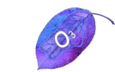 Intravenous Ozone for Treating Chronic Illnesses