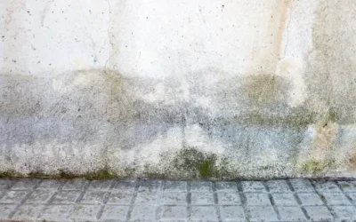 CIRS: A Condition behind Chronic Fatigue And Other Associated Symptoms