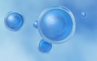 Tissue Support Matrix Therapy: What Ever Happened to Stem Cell Therapy?