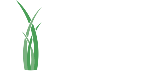 About - OWM Integrative Wellness